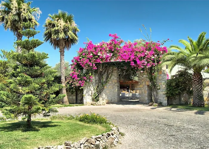 Resort Ora Holiday Village Torba